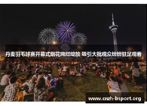 丹麦羽毛球赛开幕式烟花绚烂绽放 吸引大批观众纷纷驻足观看 丹麦羽毛球赛开幕式烟花绚烂绽放 吸引大批观众纷纷驻足观看