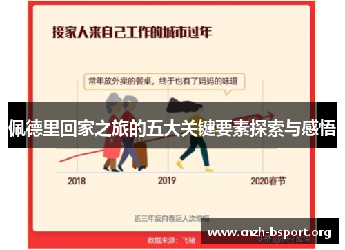 佩德里回家之旅的五大关键要素探索与感悟 佩德里回家之旅的五大关键要素探索与感悟