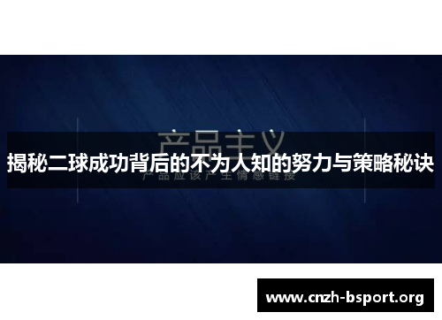 揭秘二球成功背后的不为人知的努力与策略秘诀 揭秘二球成功背后的不为人知的努力与策略秘诀