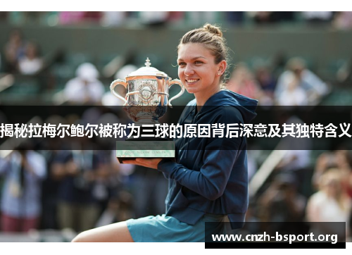 揭秘拉梅尔鲍尔被称为三球的原因背后深意及其独特含义 揭秘拉梅尔鲍尔被称为三球的原因背后深意及其独特含义